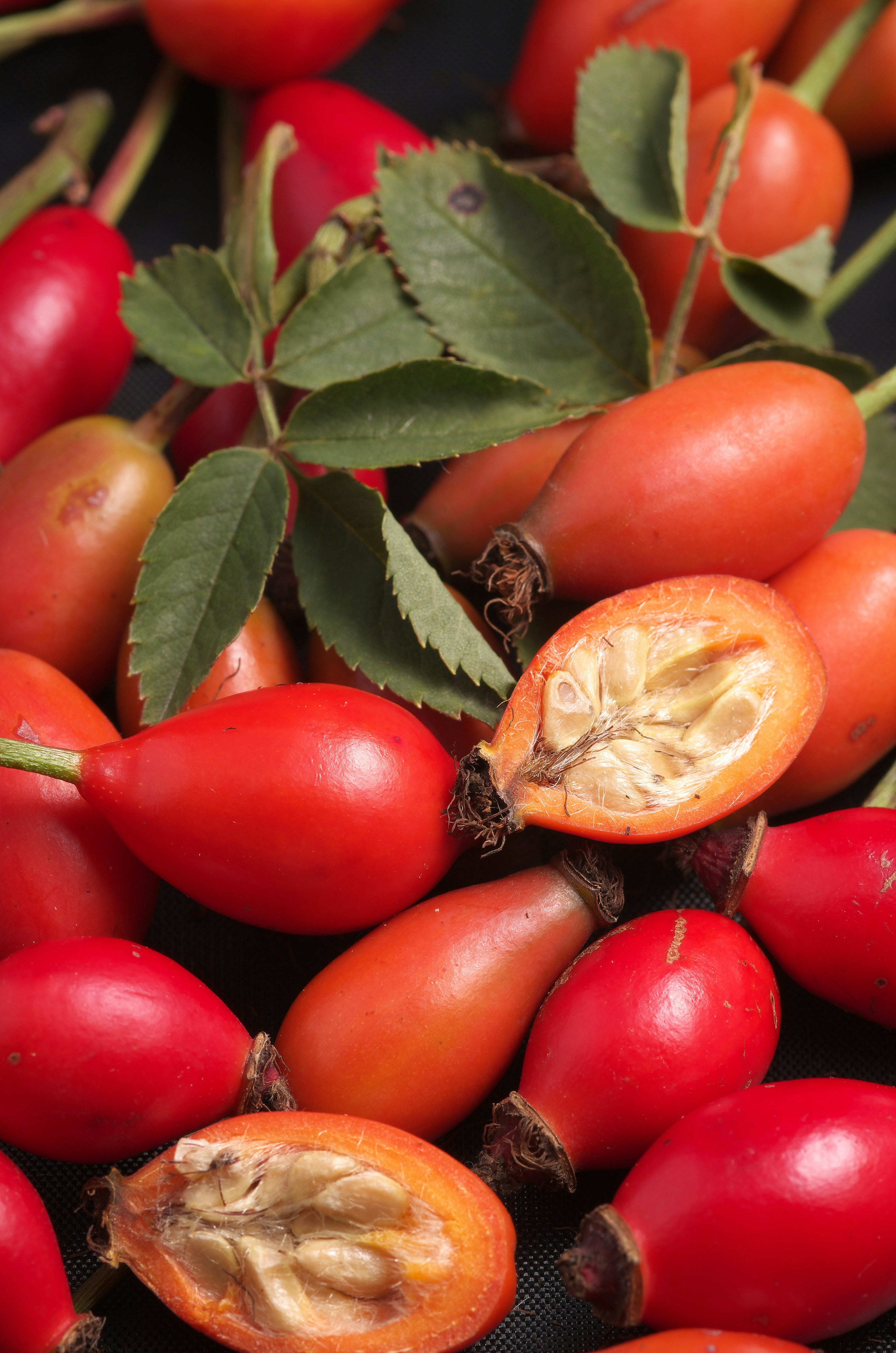 Rosehips: Nature's Tiny Powerhouses for Skin and Hair