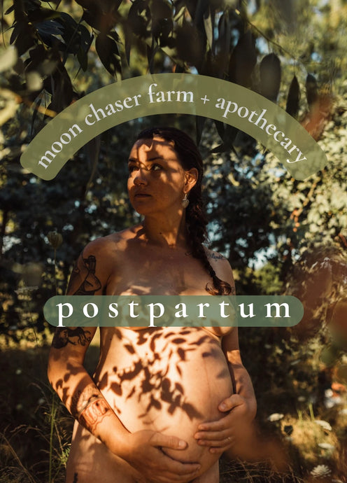 Postpartum Care Package Pre-Order